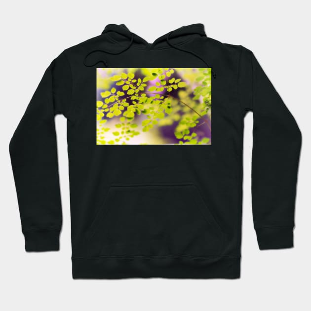 Pretty Little Leaves Hoodie by heidiannemorris